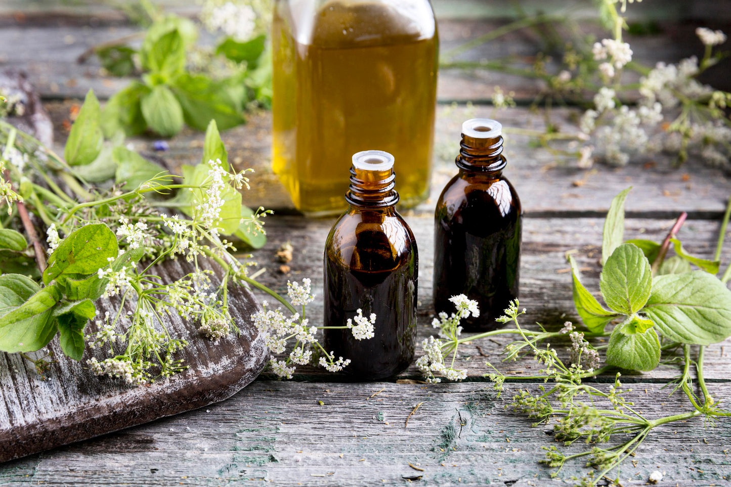 Japanese Mint Oil - 20ml